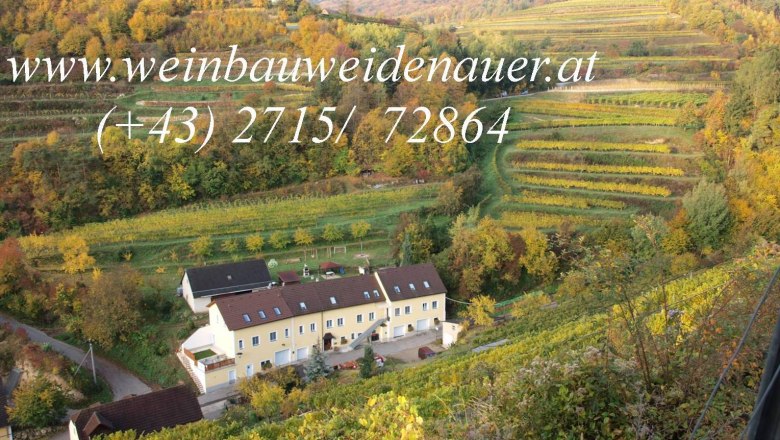 Weinberge mit einem Gebäude im Vordergrund, umgeben von herbstlicher Landschaft.
