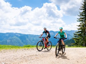 MTB_Alpen, © (C) Wolfgang Wutzl