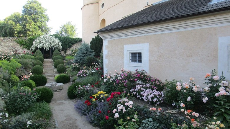 Beete mit Rosen und ein Weg.