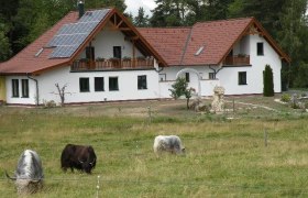 Ein modernes Bauernhaus mit Solarpanelen auf dem Dach, umgeben von einer Wiese mit grasenden Yaks.