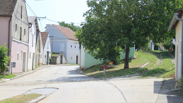 Eine malerische Kellergasse mit traditionellen H&auml;usern und einem Baum an einem sonnigen Tag.
