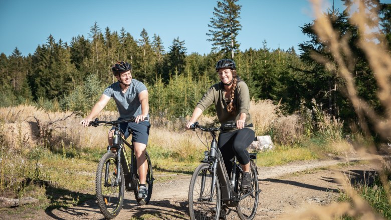 Waldweg, &copy; Matthias Ledwinka