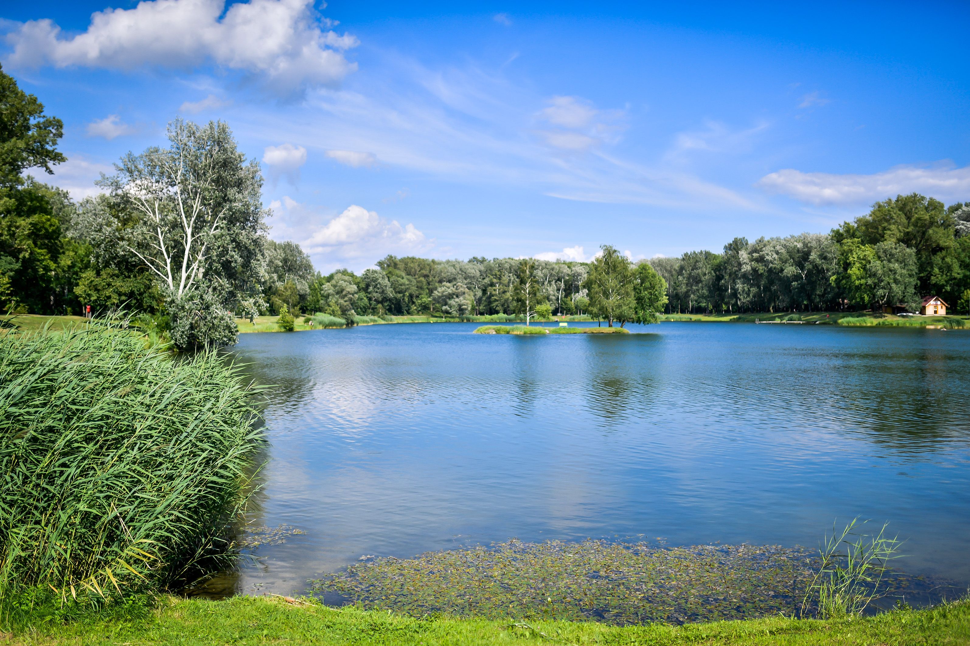 Aubad Tulln