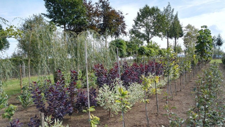 Gartengestaltung & Baumschule Huber, &copy; Gartengestaltung & Baumschule Huber