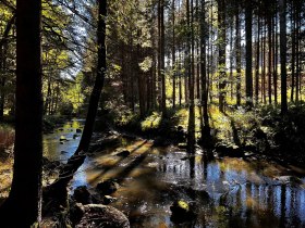 Kamptal, © Dr. Markus Peham