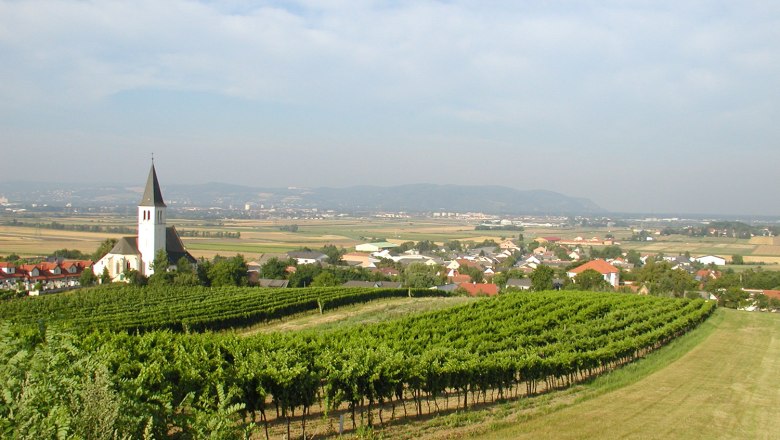 Blick auf Stetten mit Kirche und Weinbergen im Vordergrund.