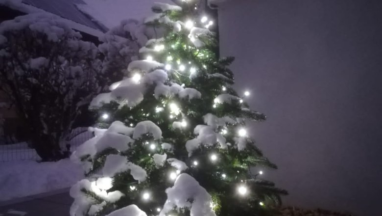 Weihnachtsstimmung bei den Steiners, &copy; Gertrude Steiner