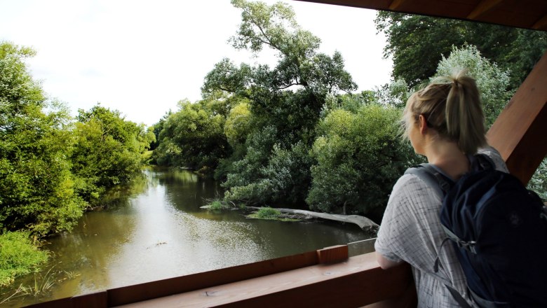 Naturpark Dobersberg, &copy; Waldviertel Tourismus, weinfranz