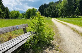 Weg bei Weitra, © Dr. Markus Peham