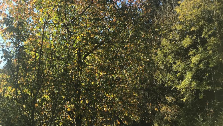 Wundersch&ouml;ne Sommertage auf dem 1000Krauthof, &copy; Stefan Schindler