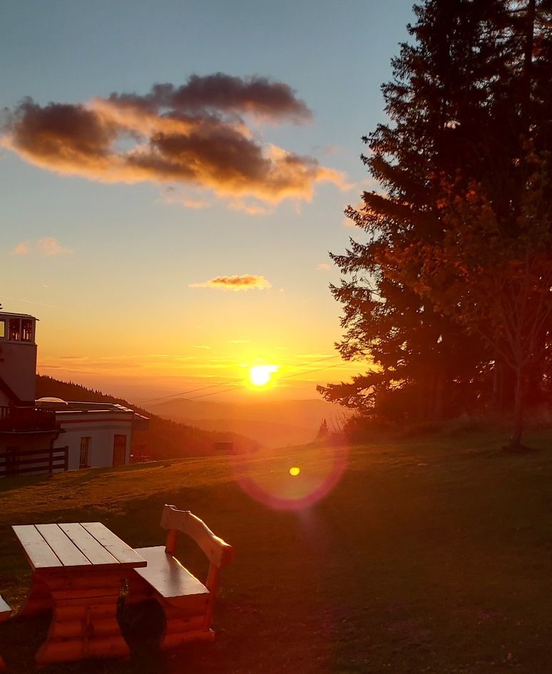 Sonnenuntergang über einer Wiese mit Holztisch und Bank, Bäume und Gebäude im Hintergrund.