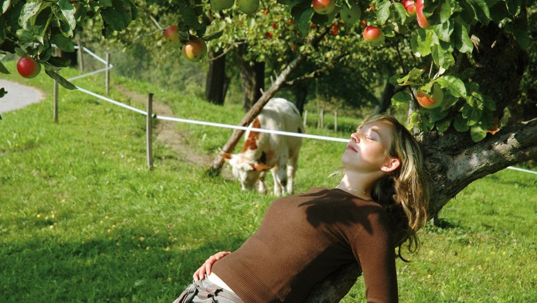 Entspannen am Nussbaumerhof, © Streißlberger Josef und Monika Entspannen am Nussbaumerhof, © Streißlberger Josef und Monika