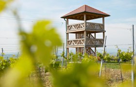 Aussichtswarte Engabrunn, &copy; Franz Zwickl, artgraphic photo