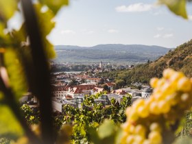 Blick auf Krems-Stein, &copy; Wachau-Nibelungengau-Kremstal