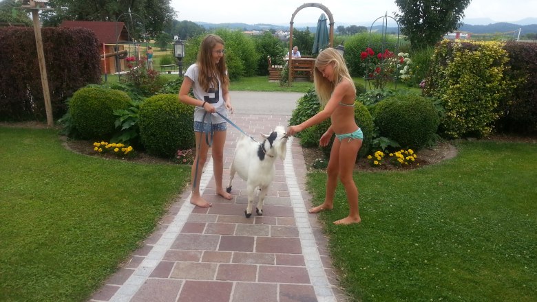 Ziegenspaziergang, &copy; Lothspieler