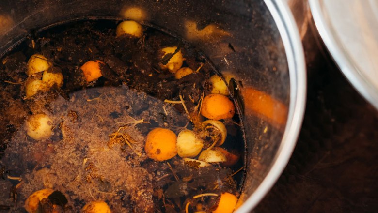 Topf mit Kriecherln und Blättern in Flüssigkeit.