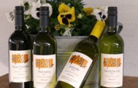 Vier Weinflaschen vor einem Blumenkübel mit Stiefmütterchen.