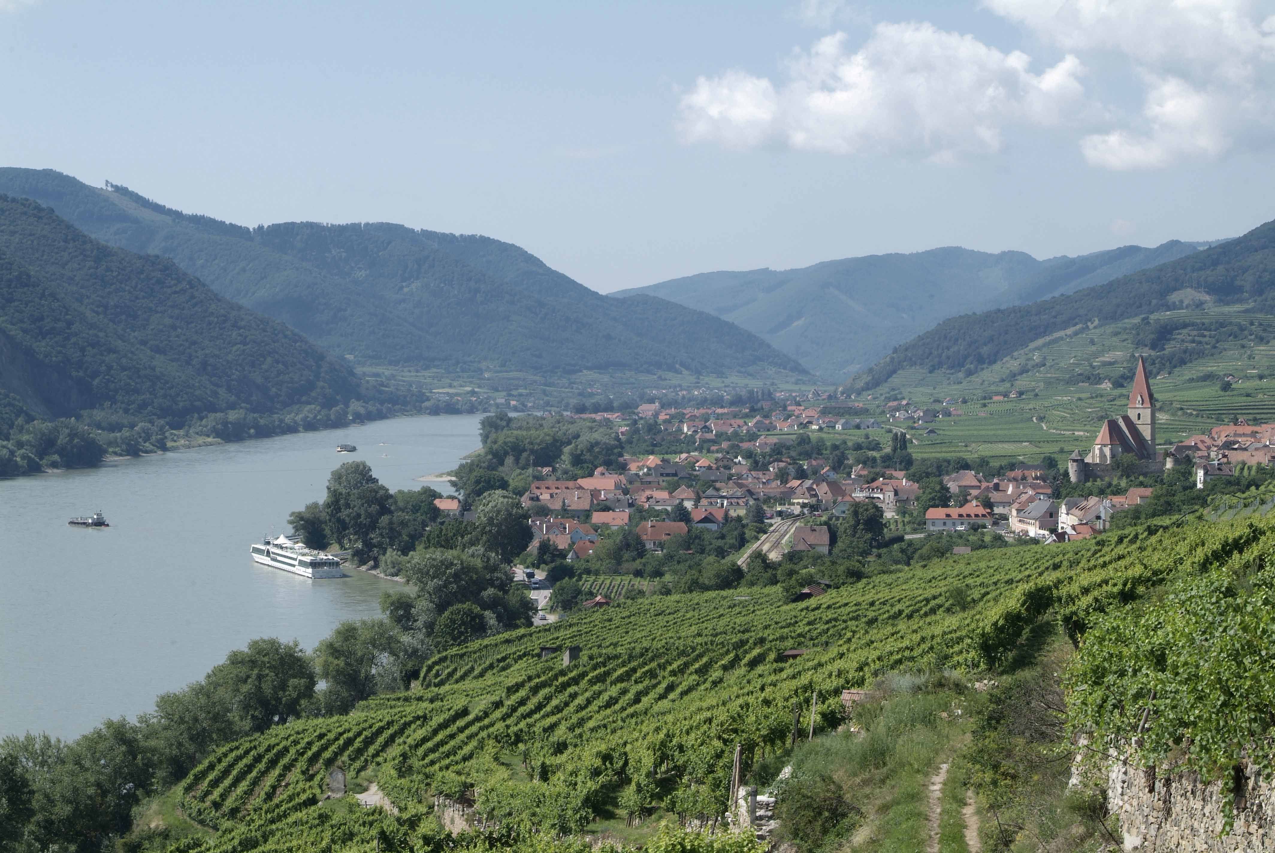 Blick auf Weißenkirchen in der Wachau mit Donau und Weinbergen.