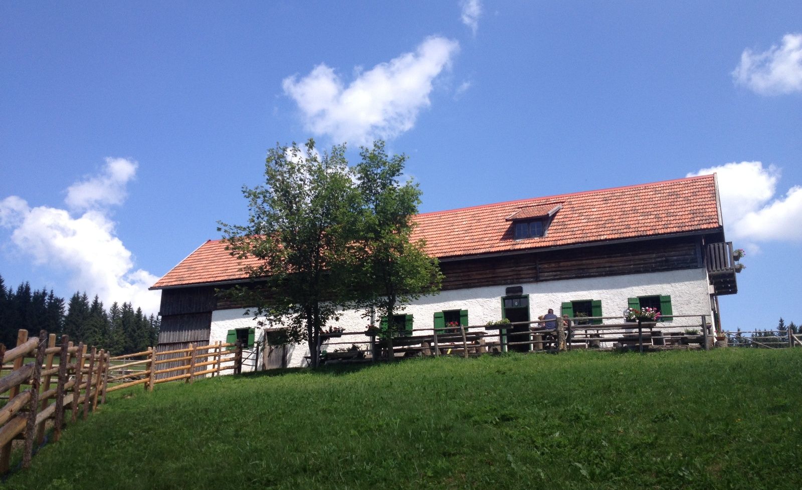 Ein traditionelles Almgebäude mit rotem Ziegeldach und grünen Fensterläden auf einer Wiese unter blauem Himmel.