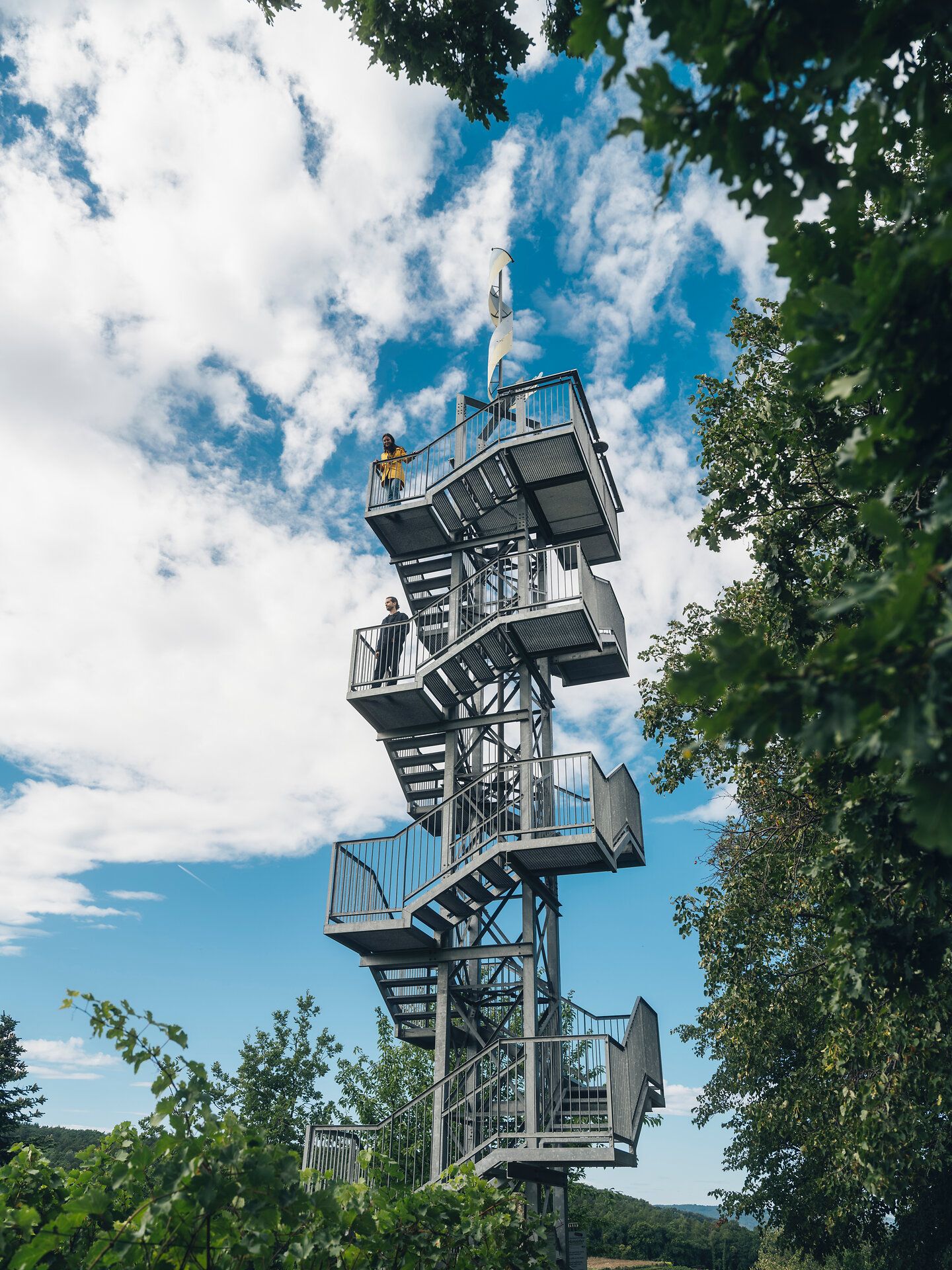 Nahaufnahme von roten Beeren an einem kahlen Ast mit Schnee im Hintergrund.