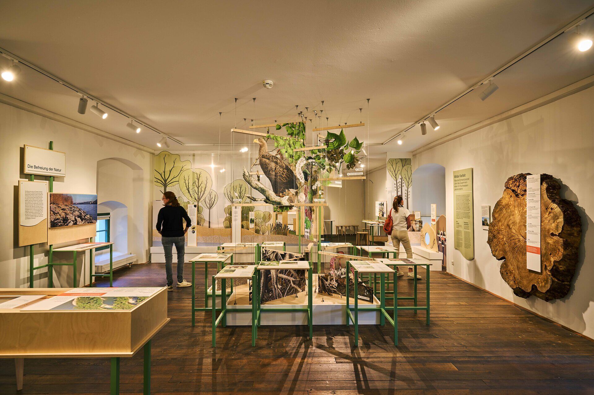 Moderner Ausstellungsraum im Schloss Orth mit Informationstafeln, Exponaten und interaktiven Stationen.