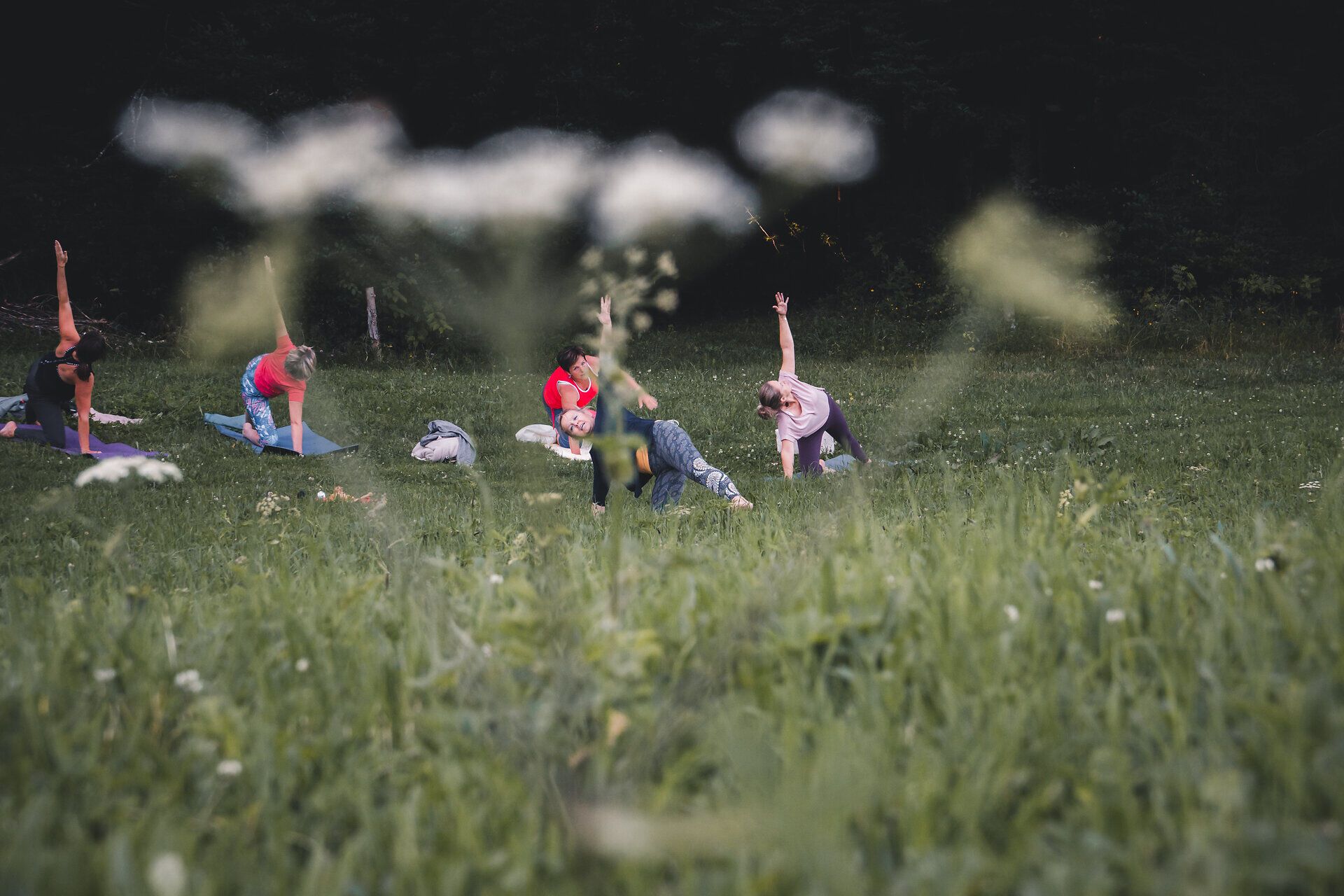 Inmitten der sanften Hügel und der üppigen Wiesen praktizieren Yogis harmonisch ihre Übungen, während die frische Bergluft die Sinne belebt. Die friedliche Atmosphäre und die malerische Kulisse laden dazu ein, Körper und Geist in Einklang zu bringen und die Schönheit der Natur zu genießen.