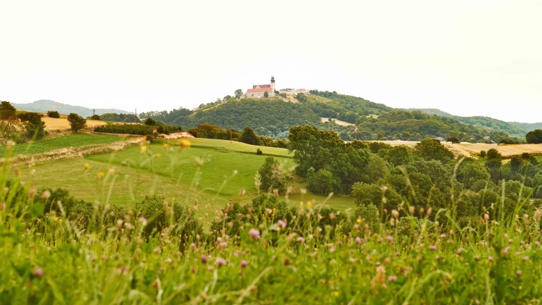 Landschaft mit H&uuml;gel und Kirche im Hintergrund, umgeben von gr&uuml;nen Feldern und B&auml;umen.