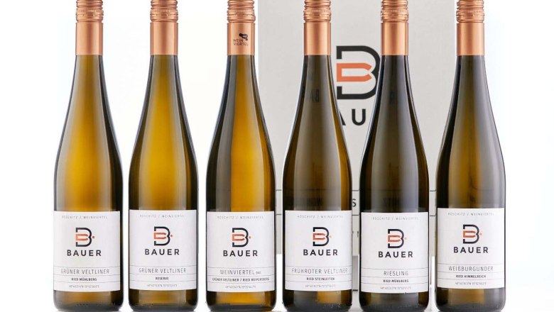 Sechs Weinflaschen der Marke Bauer vor einem Karton.