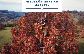 Jakob Mayer, © Niederösterreich Magazin/Daniel Gollner