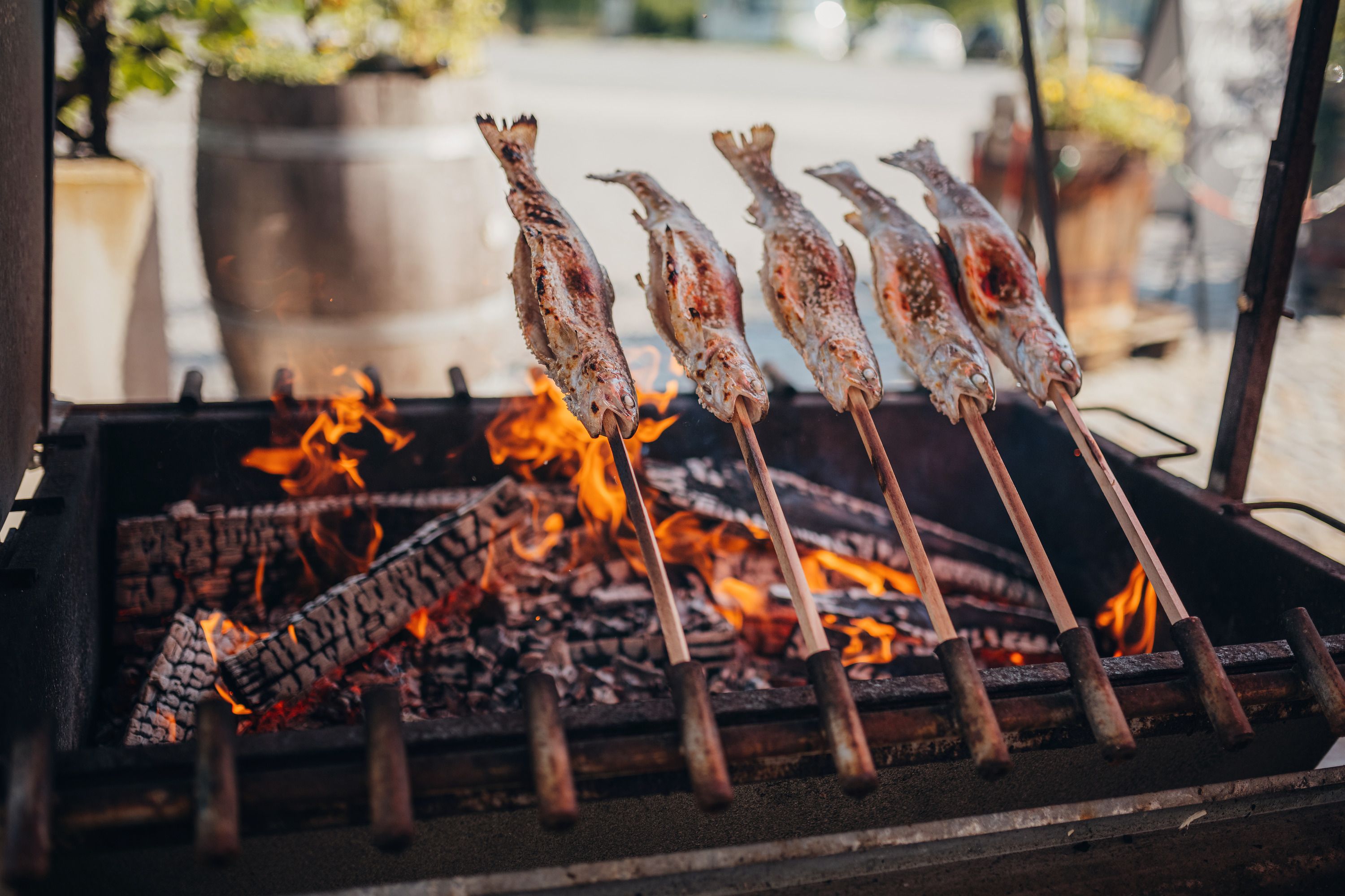 Steckerlfisch über offenem Feuer gegrillt, traditionelle Zubereitung.