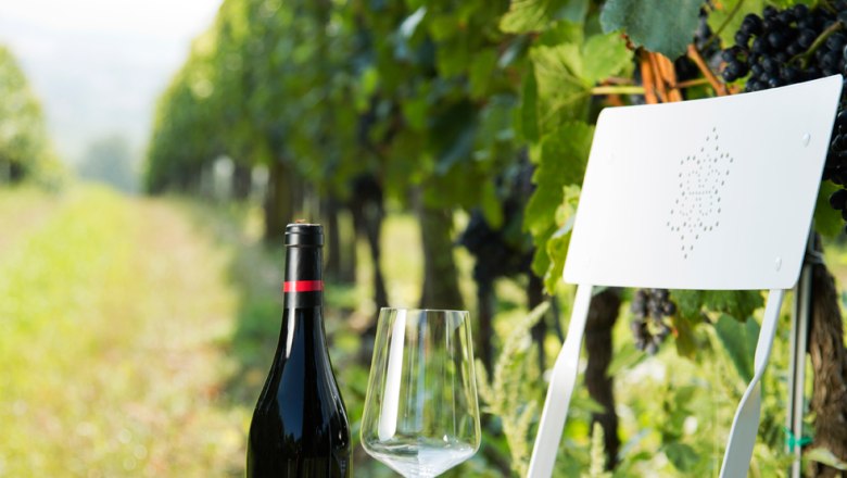 Weingarten Glatzer, G&ouml;ttlesbrunn, &copy; Weingut Glatzer