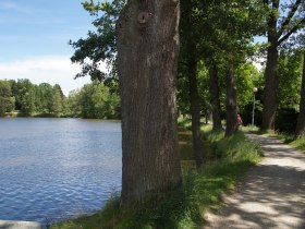 Damm Herrensee, © Stadtgemeinde Litschau