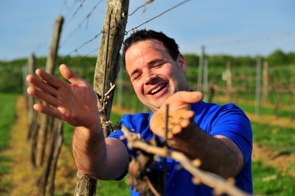 Mann in blauem Hemd lächelt in einem Weinberg.
