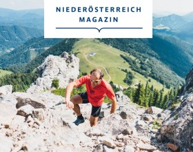 Peter Gross, © Daniel Gollner