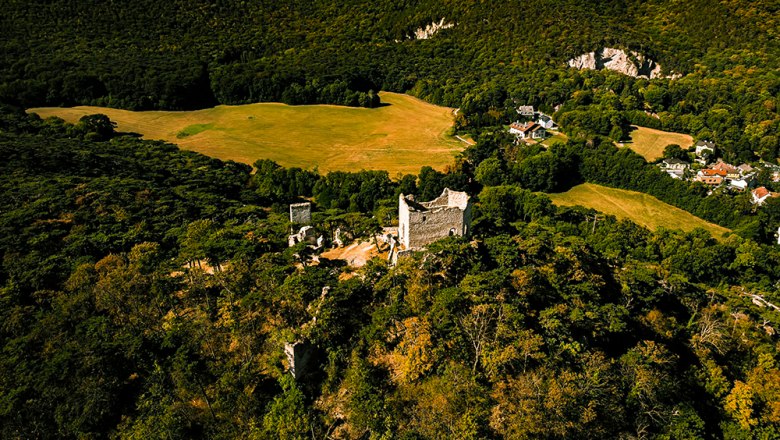 Burgruine Mödling, &copy; Sascha Schernthaner