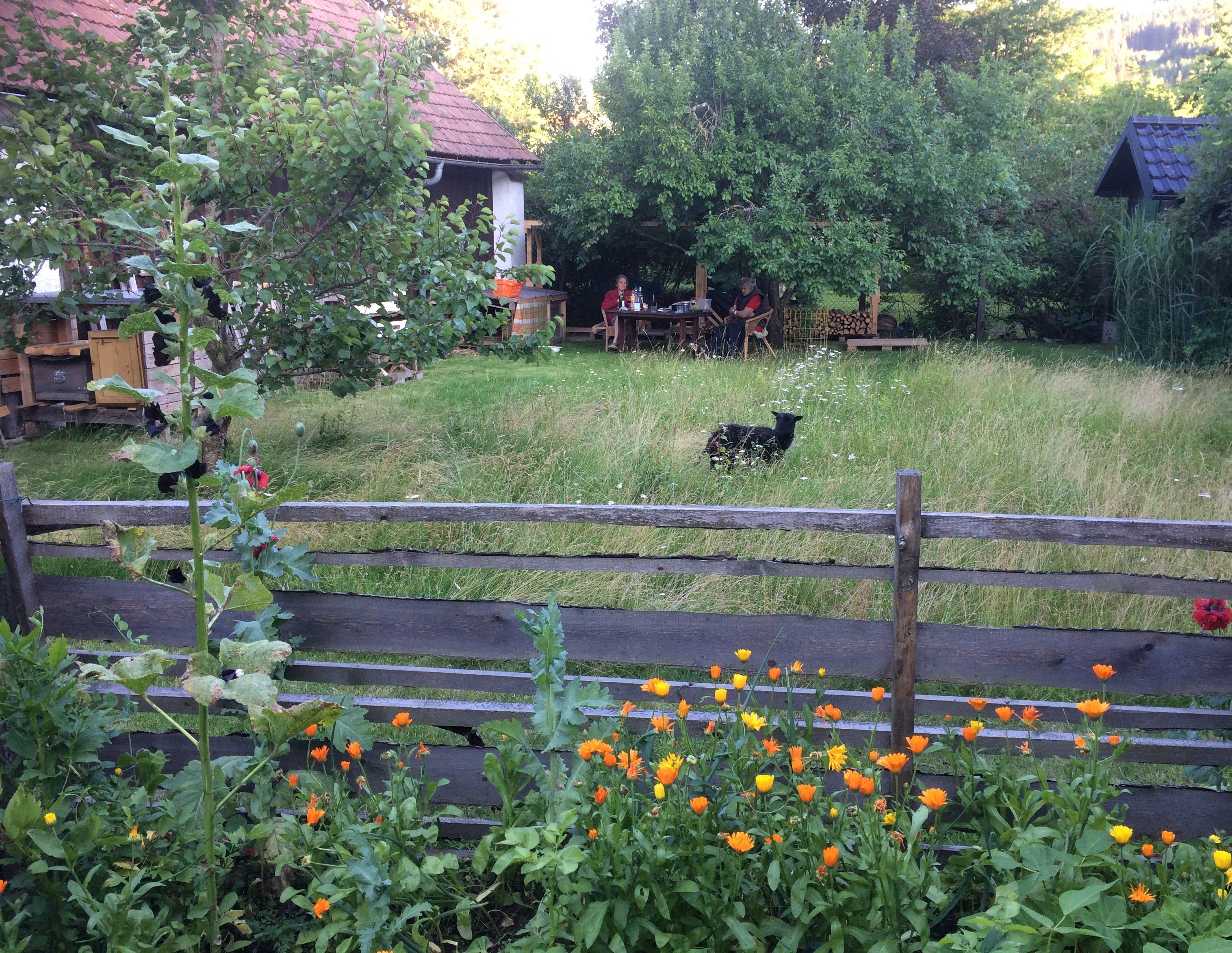 Garten
