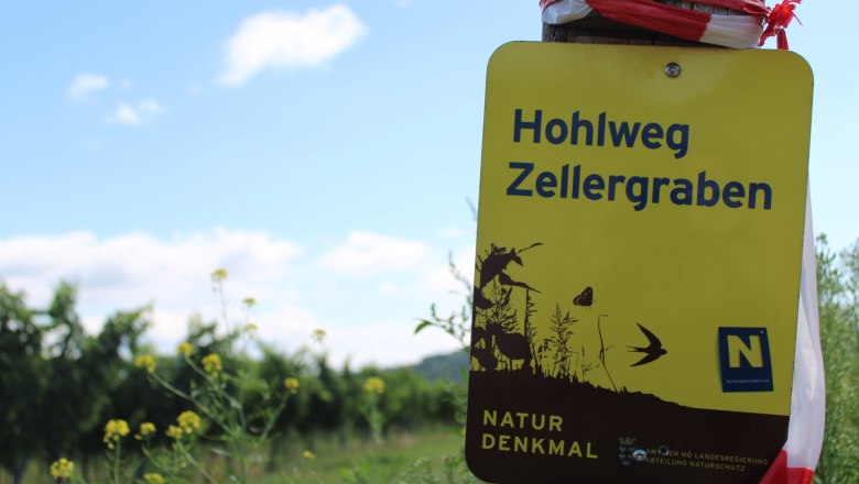 Naturdenkmal Hohlweg Zellergraben, &copy; Donau N&ouml; Tourismus_Vera Pulker