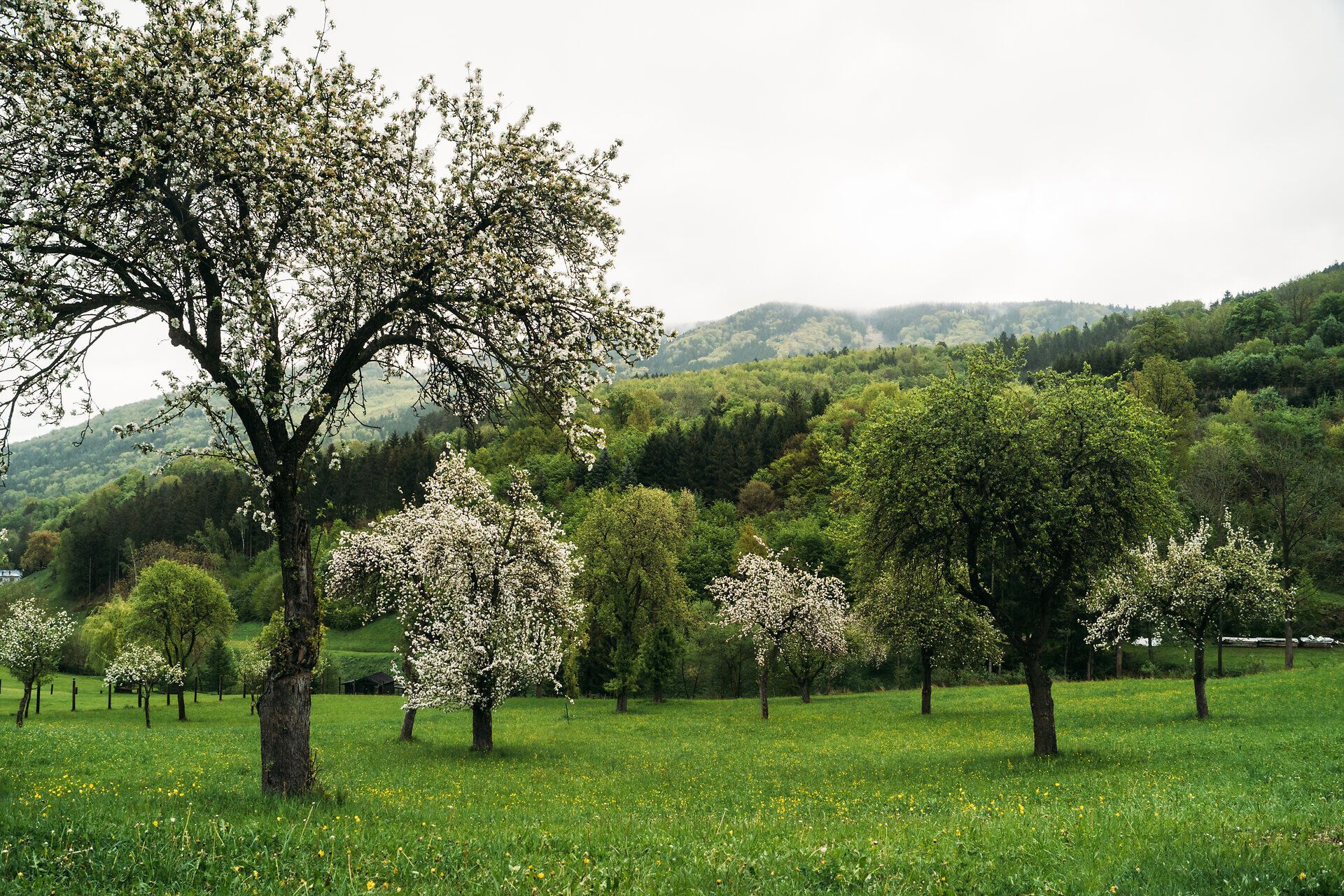 Lebensweg, Wandern, Weitwandern