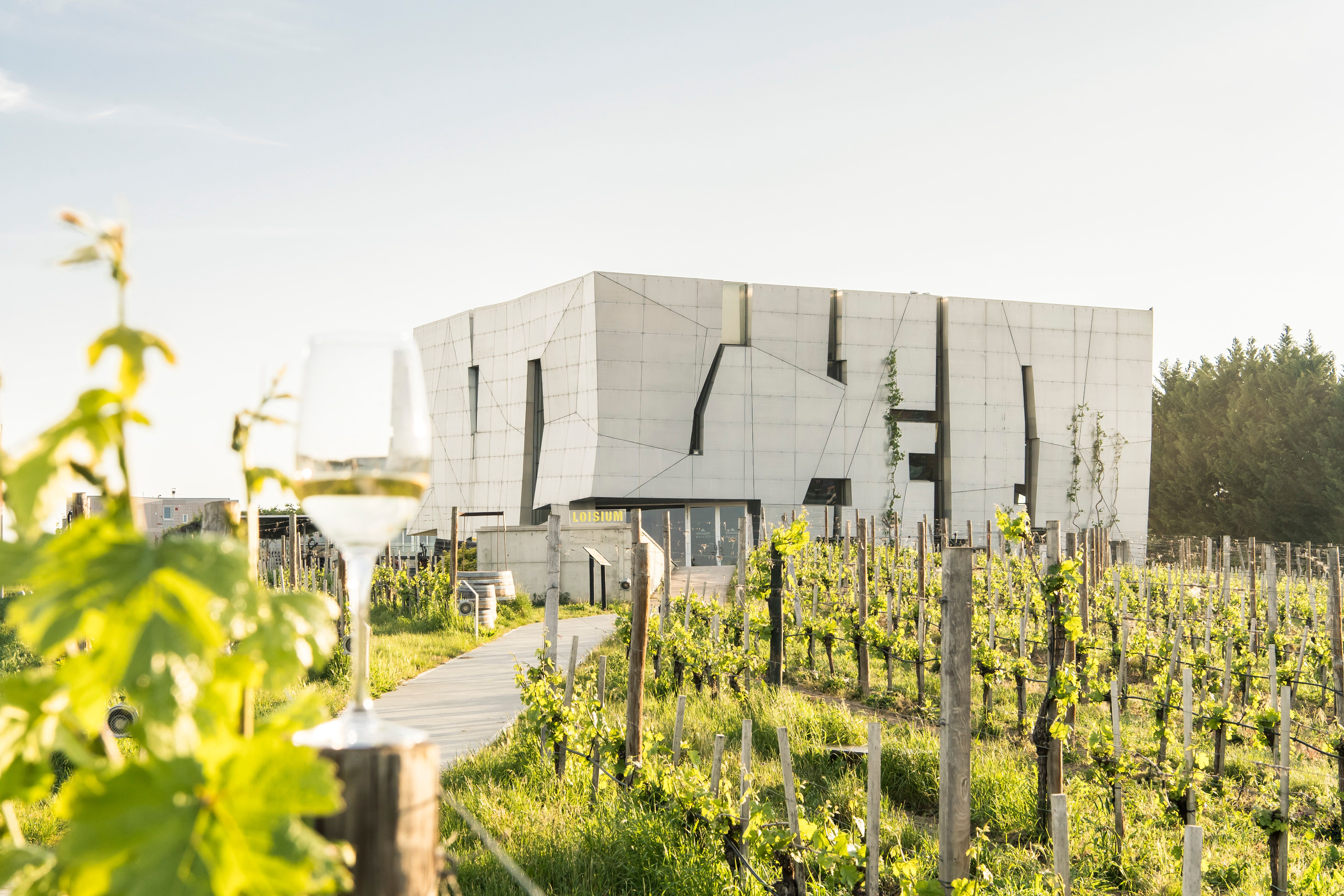 Weinkeller mit Holzfässern und dem Schriftzug 'Steininger' an der Wand.