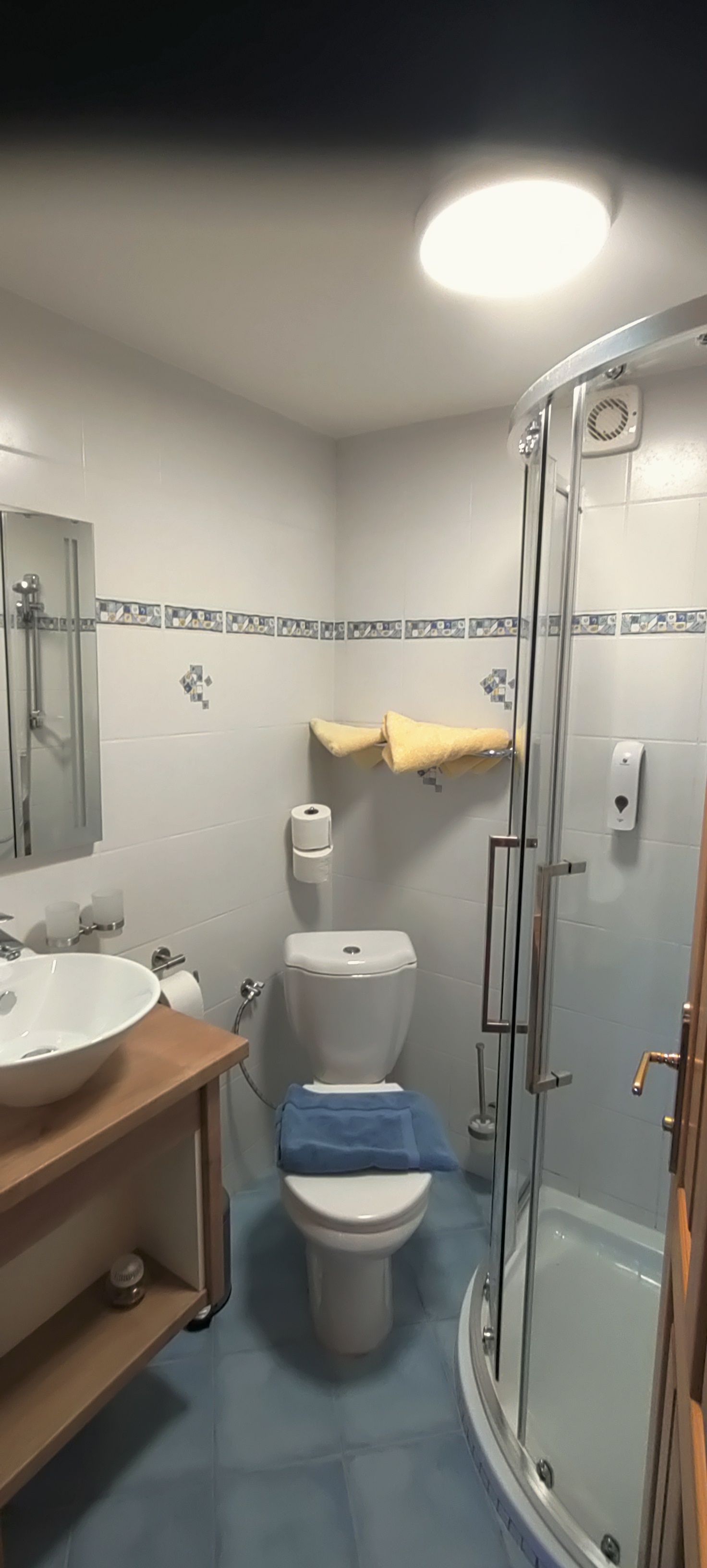 Kleines Badezimmer mit Dusche, WC und Waschbecken.