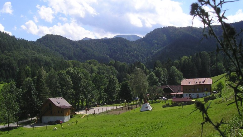 Landschaft mit Bauernhof, Wiesen und Wald im Hintergrund.