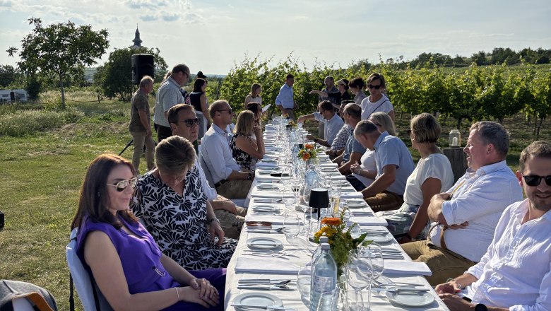 Menschen sitzen an einem langen Tisch im Freien neben einem Weinberg.