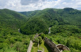 Blick auf eine gr&uuml;ne, bewaldete Landschaft mit Fluss und Burgruine im Vordergrund.