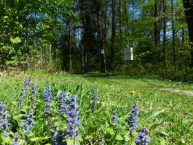 Rundwanderweg stilles Tal, &copy; Mostviertel