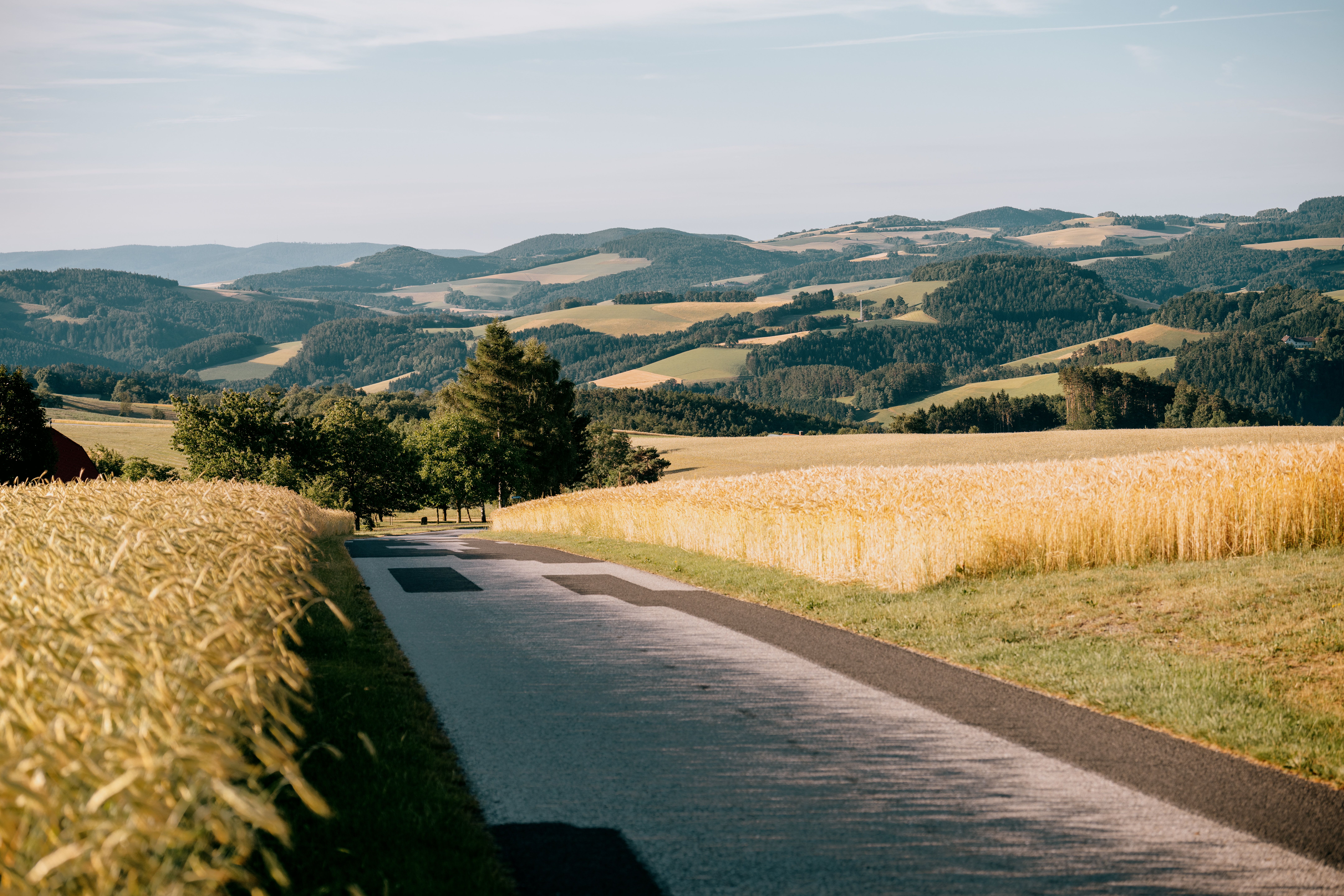 Landschaft mit Feldern, Hügeln und einer schmalen Landstraße in Kirchschlag, Aigen.
