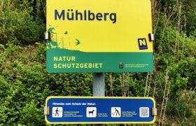 Naturschutzgebiet Mühlberg, © Weinstraße Weinviertel