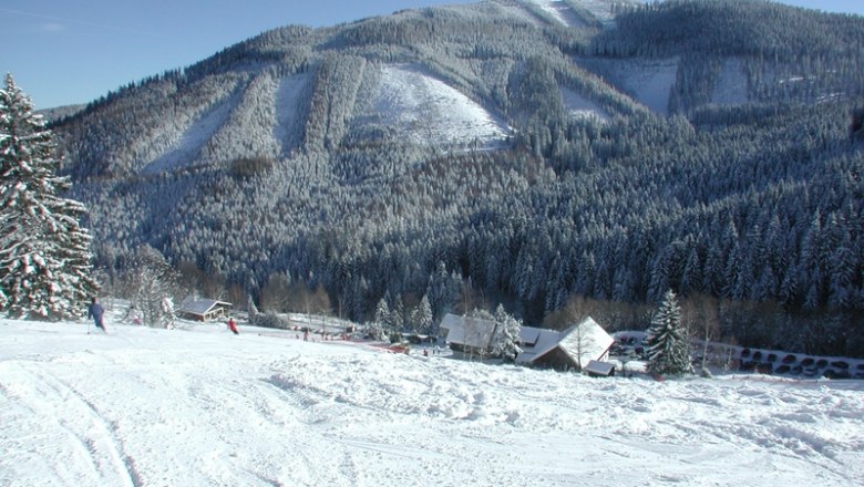 Verschneite Berglandschaft mit Skifahrern und Wald im Hintergrund.