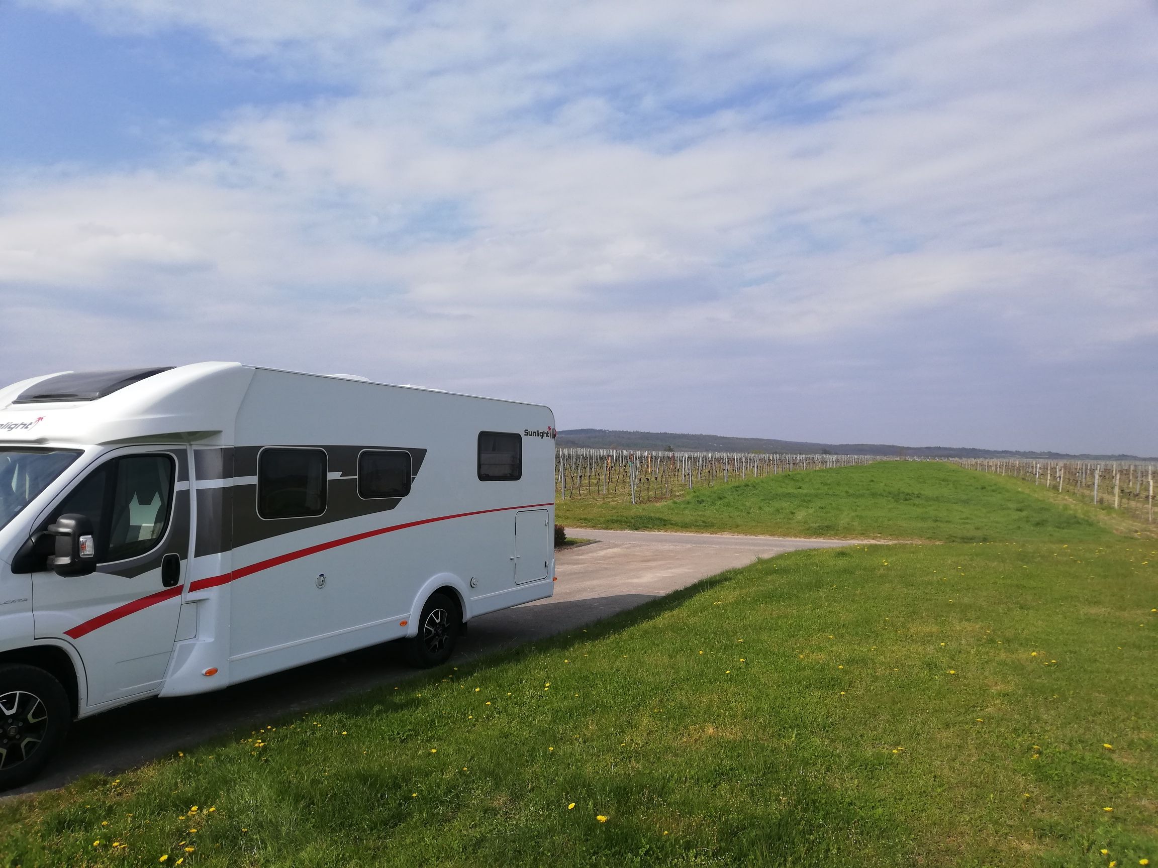 Wohnmobil auf einem Stellplatz neben einem Weinberg unter blauem Himmel.