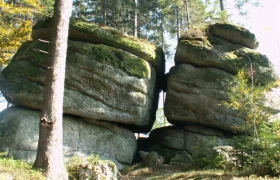Zwei große, moosbedeckte Felsen im Wald.