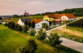 Weingut Neustifter, © Weingut Neustifter / Robert Herbst